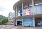 【公開生放送】8月5日はペンギンの日！サンライズステーション「アバトーク」もうすぐペンギンの日スペシャル！公開生放送