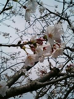 070326_1100~0001.jpg